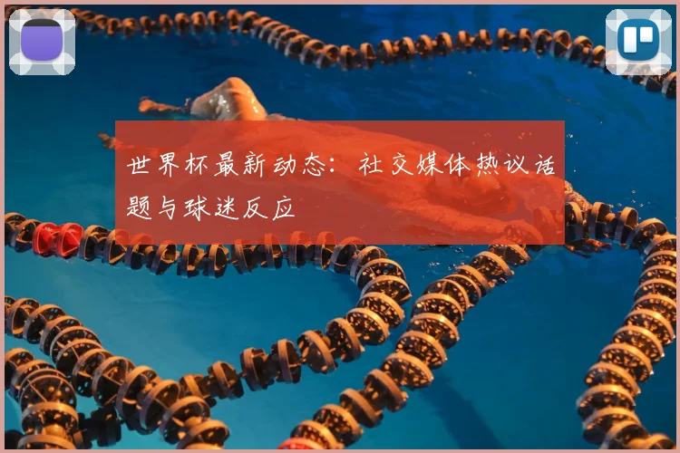 世界杯最新动态：社交媒体热议话题与球迷反应